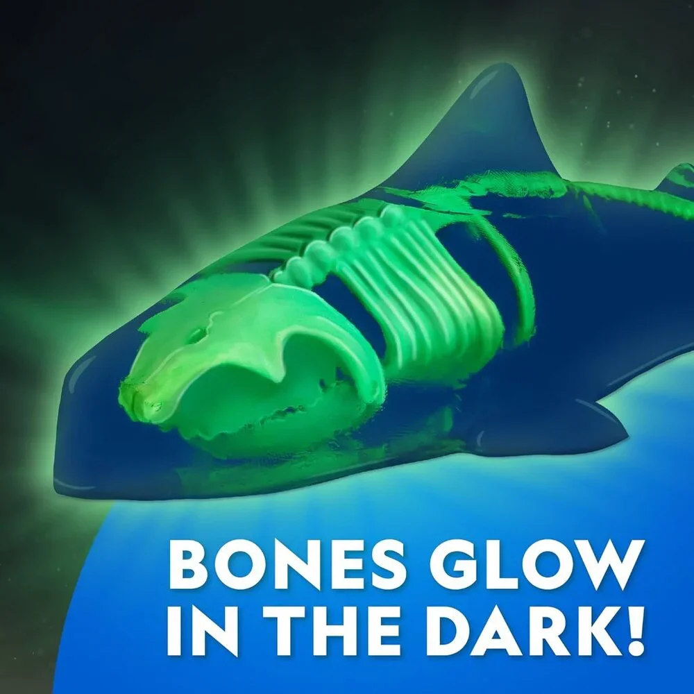 National Geographic Shark Dissection Kit Glow in The Dark Great White Shark Anat